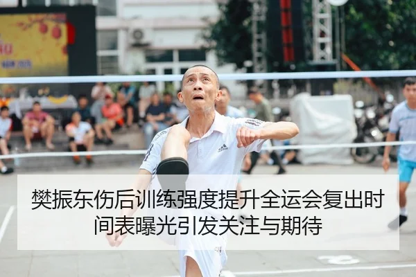樊振东伤后训练强度提升全运会复出时间表曝光引发关注与期待